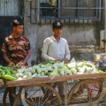 Selling Organic and Natural Health Products Simplified