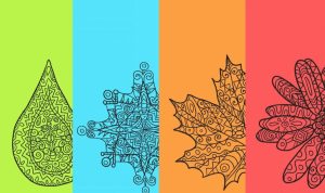 Seasonal Decor and Lifestyle Product Cross-Sales