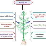 The Role of Product Reviews in Technology Sales Insights The Role of Product Reviews in Technology Sales Insights
