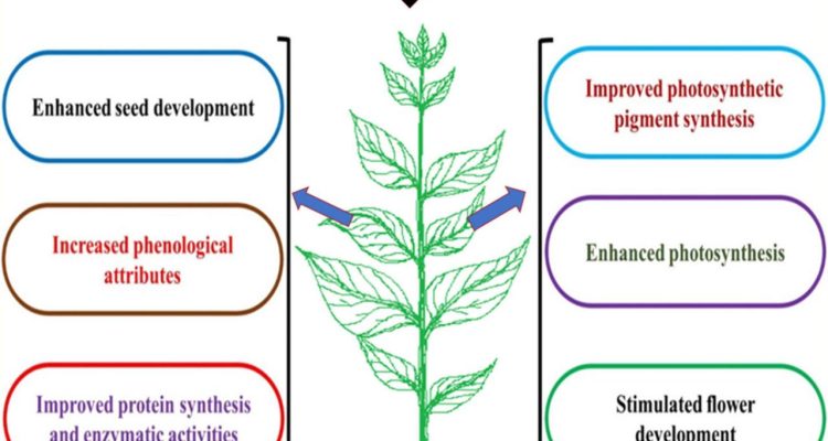 The Role of Product Reviews in Technology Sales Insights