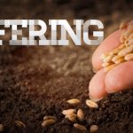 Offering Bundles for Health Product Sales