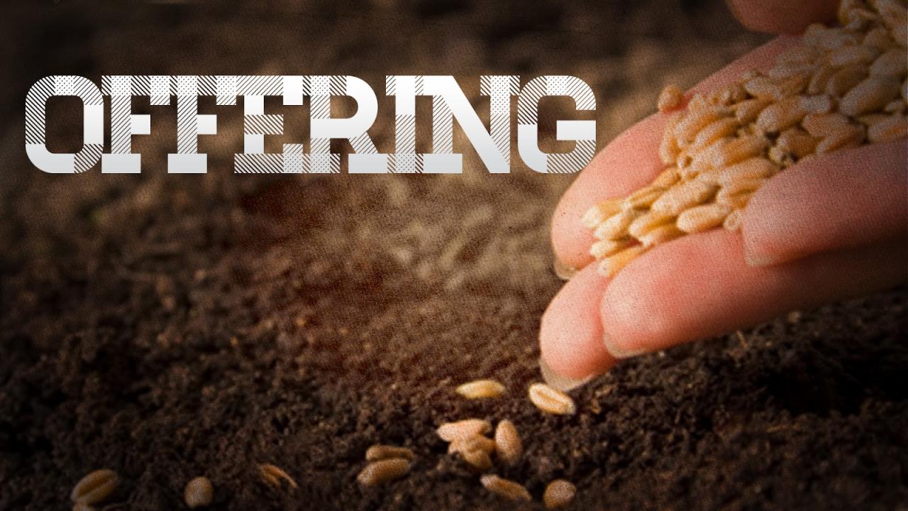 Offering Bundles for Health Product Sales