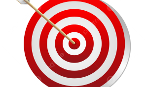 How to Target Niche Lifestyle Communities Effectively